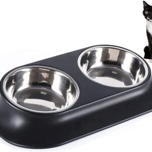 Raised Cat Bowl Pet Bowl,Stainless Steel Elevated Small Dog Bowls,15°Tilted Whisker Reliefs Fatigue Free Stress Anti Vomiting Cat Food Water Bowls,Non Slip Cat Feeding Bowls（Double Bowl）