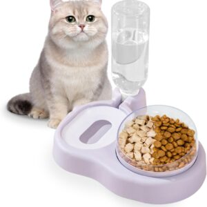 2 in 1 Cat Bowls with Gravity Water, 15°Tilt and 360°Rotatable Pet Feeders, Cat Bowls with Automatic Water Bottle Detachable, Cat Wet and Dry Food Feeding Bowl Set